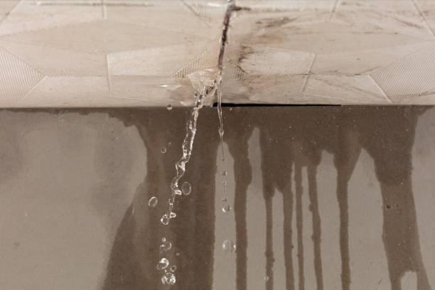 Professional Flood Damage Cleanup technician working in Prospect, PA